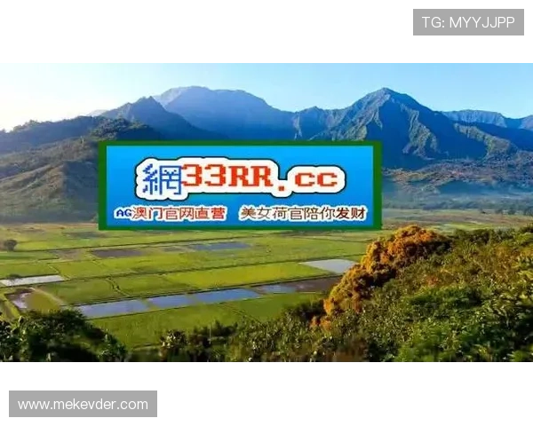 九游会老哥俱乐部官网用户评价与反馈汇总助你了解平台真实体验与口碑